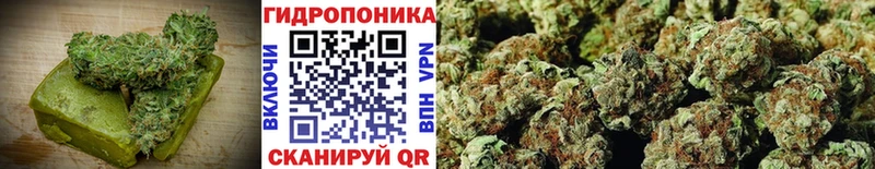 Cannafood конопля  купить наркотик  Нарткала 