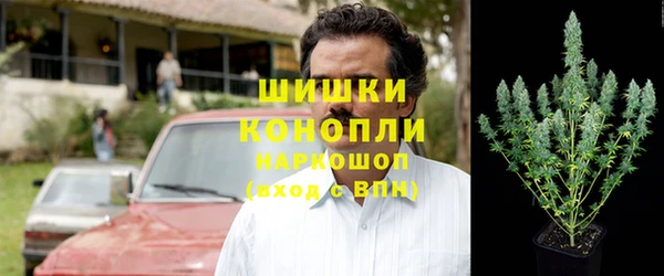 бошки Алексин