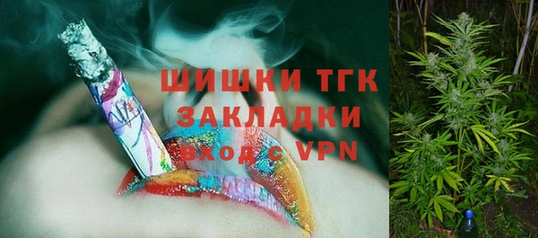 бошки Алексин