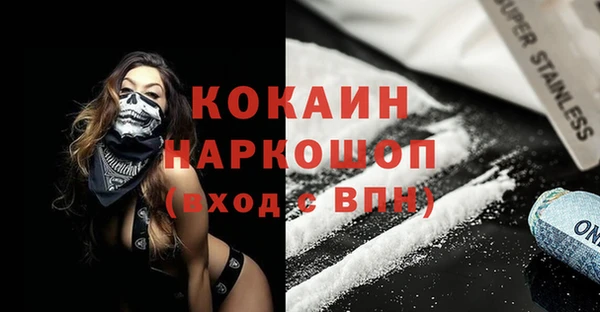 бошки Алексин