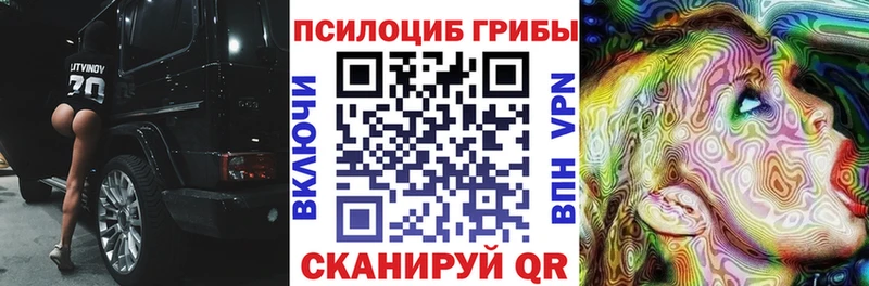 МЕГА ONION  Нарткала  сайты даркнета телеграм  купить закладку  Псилоцибиновые грибы Cubensis 