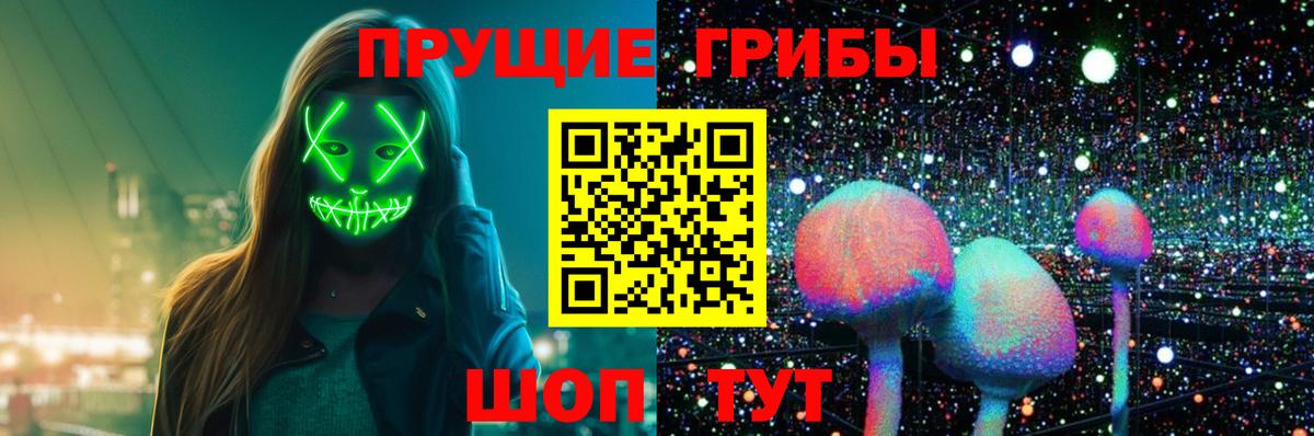 Нарткала  что такое   Псилоцибиновые грибы Psilocybe  Вход с VPN  Псилоцибиновые грибы Psilocybine cubensis 