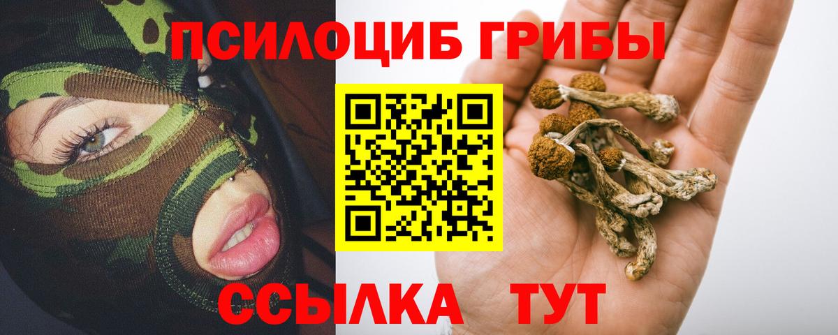 Галлюциногенные грибы прущие грибы Нарткала